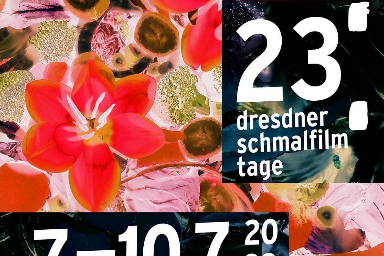 Dresdner Schmalfilmtage