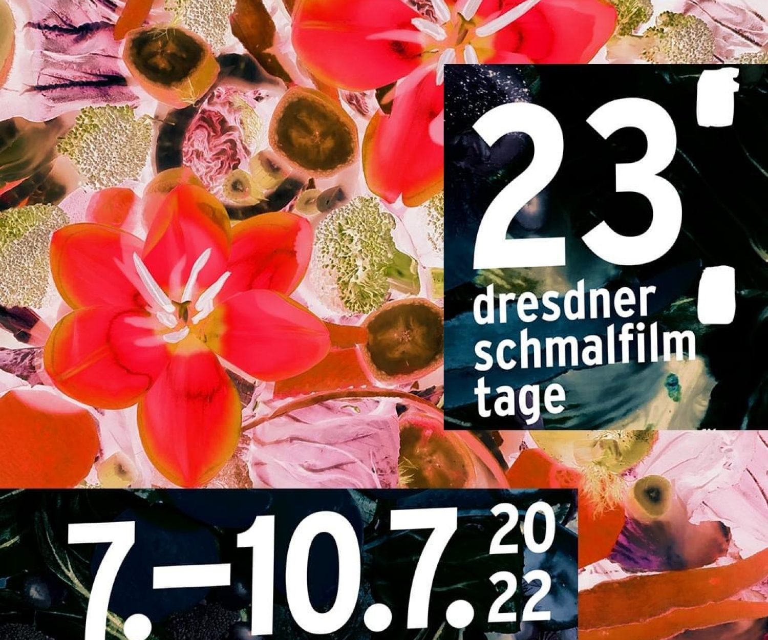 Dresdner Schmalfilmtage